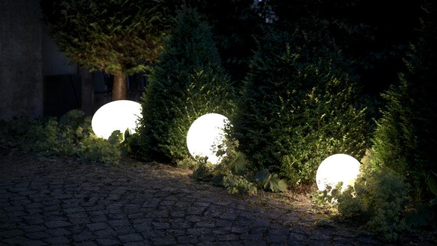winterharde planten met ronde lampen