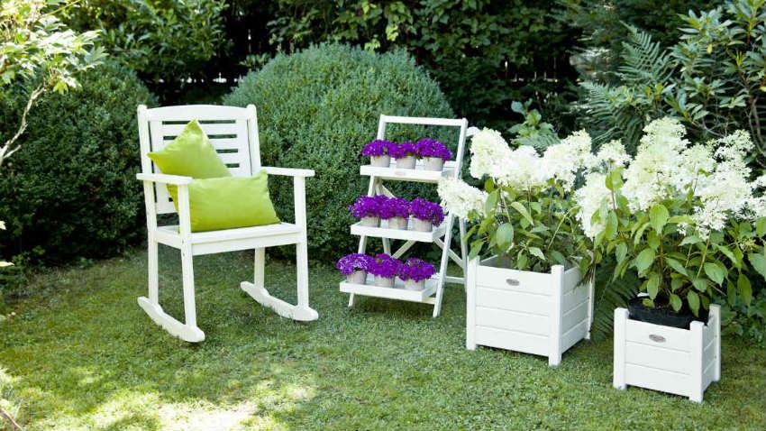 witte hortensia planten in witte bloembakken