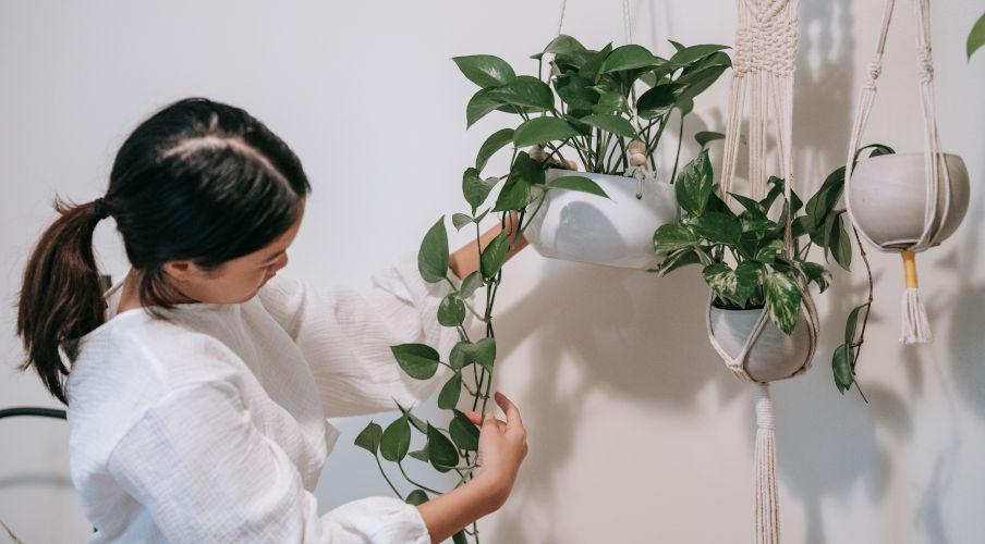 Hangplanten buiten met een vrouw