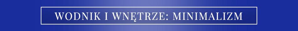 Aquarius_banner_small_PL