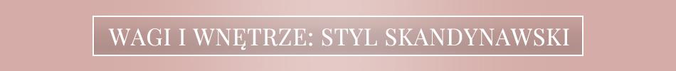 Libra_banner_small_PL