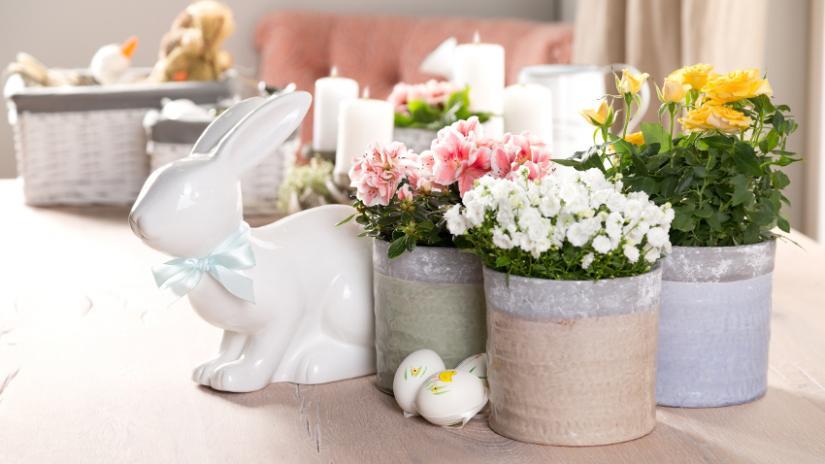 doniczki ozdobne shabby chic