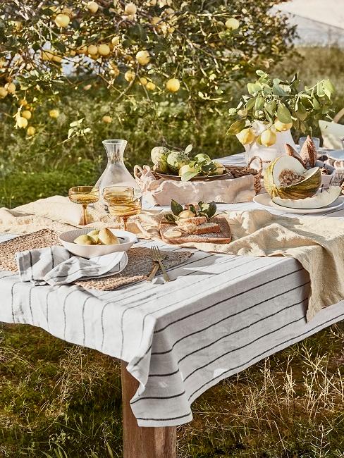 Tischdeko Gartenparty Wiese Tischdecke Servietten Tischdeko Gartenparty Wiese Tischdecke Servietten