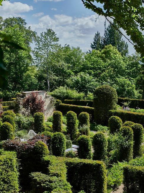 Garten winterfest machen Garten mit grünen Bäumen