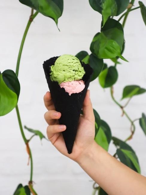 Gelato vegano