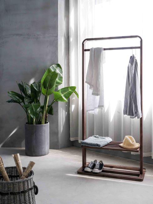 Plantes à peu de lumière Une tringle en bois avec quelques vêtements posés dessus, moquette grise par terre, un grand pot avec une belle plante verte