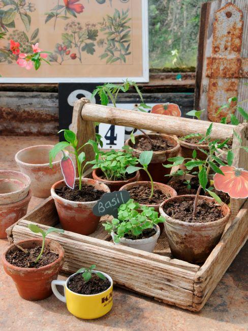 Potager DIY Potager DIY avec différentes herbes