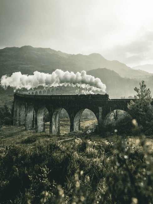 viaggio in treno treno con colonna di fumo su un ponte in mezzo alla natura