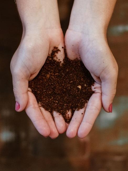 Come fare il compost Come fare il compost