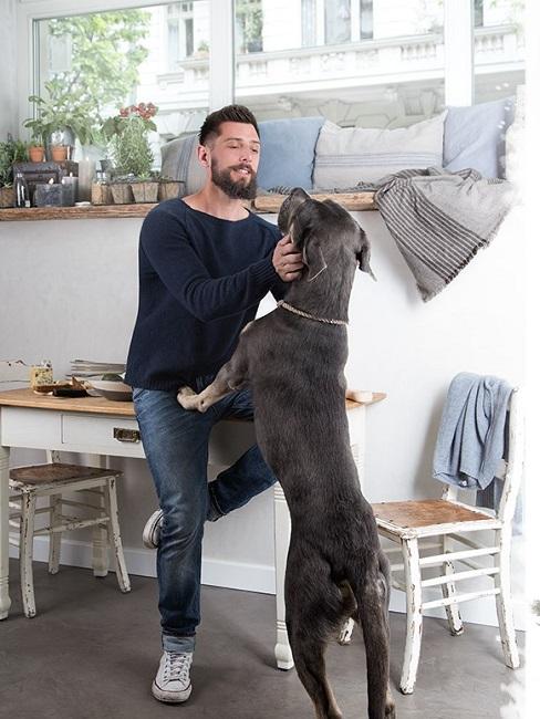 Marcel Graf Wohnung Hund Tisch Stühle Marcel Graf Wohnung Hund Tisch Stühle
