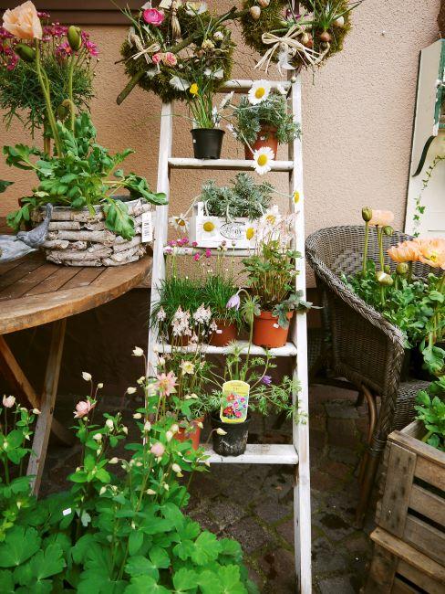 Plantes de balcon Echelle blanche appuyee contre un mur de balcon avec diverses plantes dans des pots