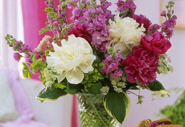 Bouquet Bouquet
