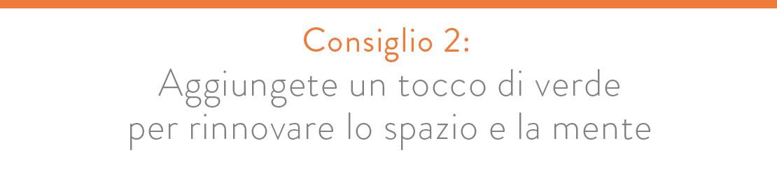 restyling di un interno piante