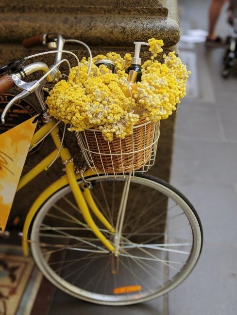 casa-ecofriendly bicicletas con flores amarillas
