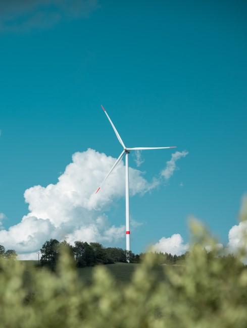 energias-renovables-banner molino de viento