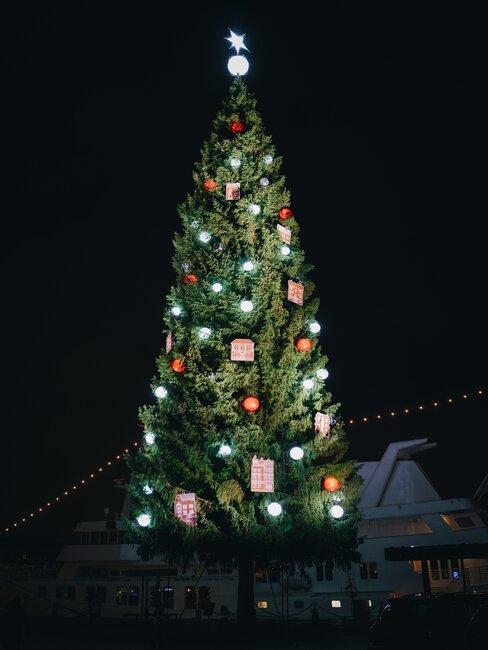 navidad-suecia-banner Árbol de navidad iluminado de noche