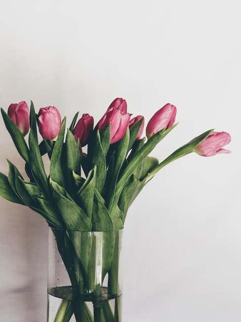 Tulipany w wazonie Wazon rożowych tulipanów w wazonie