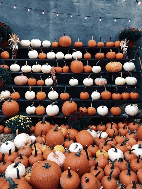 Jak zrobić dynie na halloween Stos kolorowych dyń