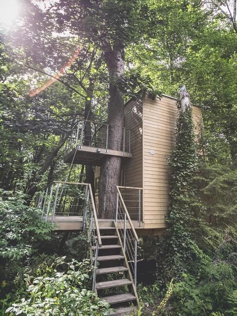 Domki w drzewach Jeden z apartementów domki "W Drzewach"