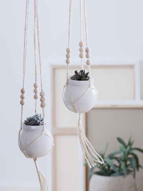 Dekoracja z sukulentów w wiszących, ceramicznych wazonach w pomieszczeniu