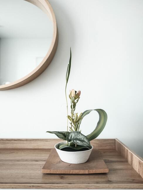 Ikebana Kwiaty ułożone w stylu ikebana