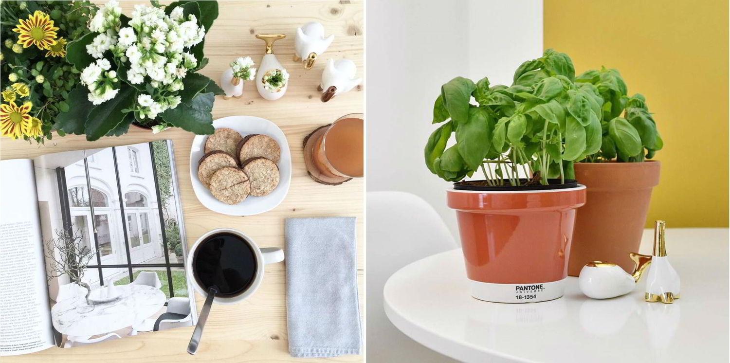 Dalani, Basil Green Pencil, Progetto, Design, Milano, Londra, Idee, Giardino, Casa, Fai da Te