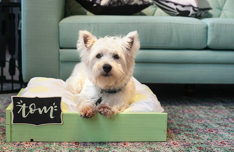 DIY: Stylish hondenbed