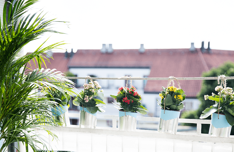 Zomer update: hippe plantenbakken