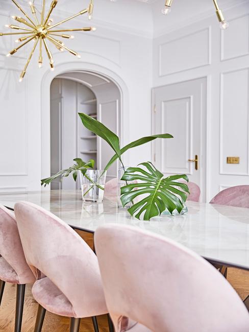 planta-monstera Comedor con sillas rosas y plantas monsteras