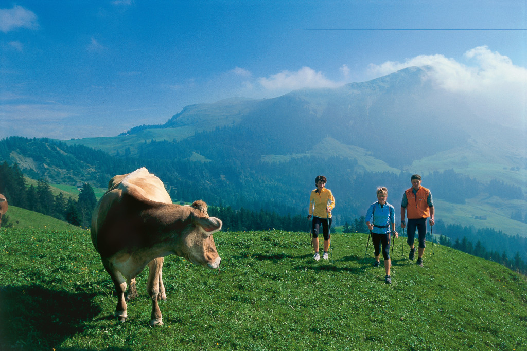 SWITZERLAND - MOUNTAINS