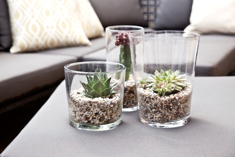 Westwing_Magazin_DIY_Kakteen_FINAL_8