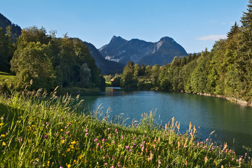 GRUYERE PAYS D'ENHAUT