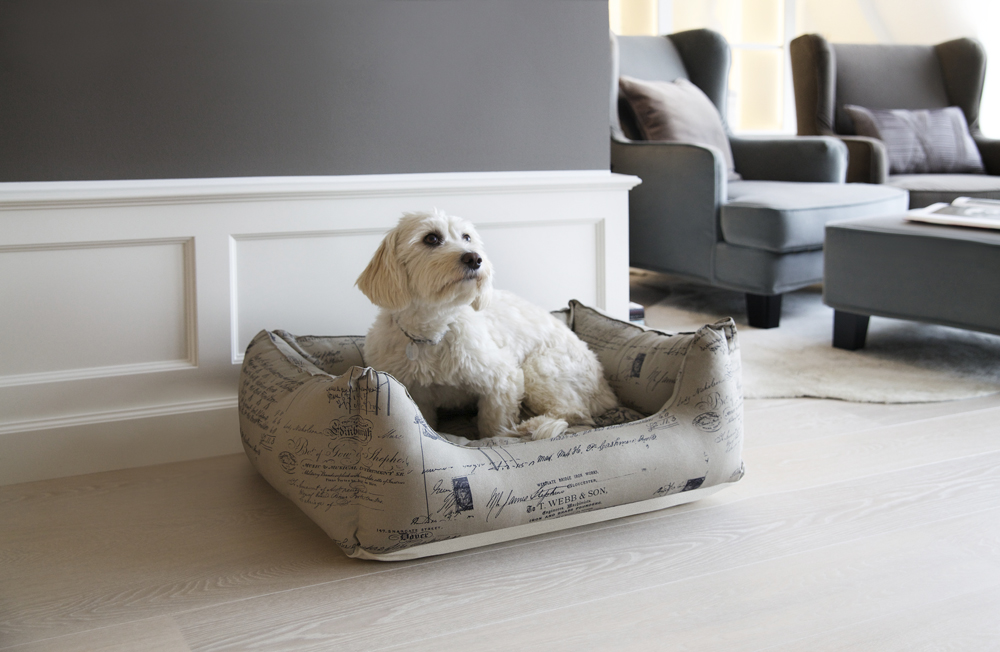 Westwing_Mood_Leben-mit-Hund_FINAL_1
