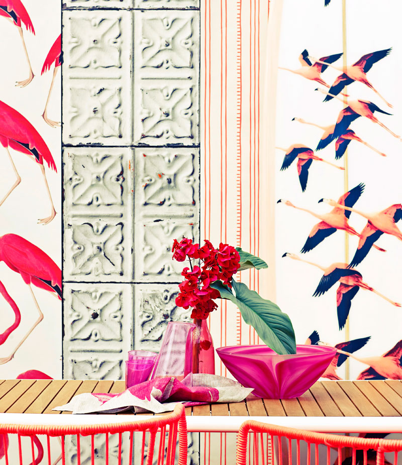 Flamingo ABC