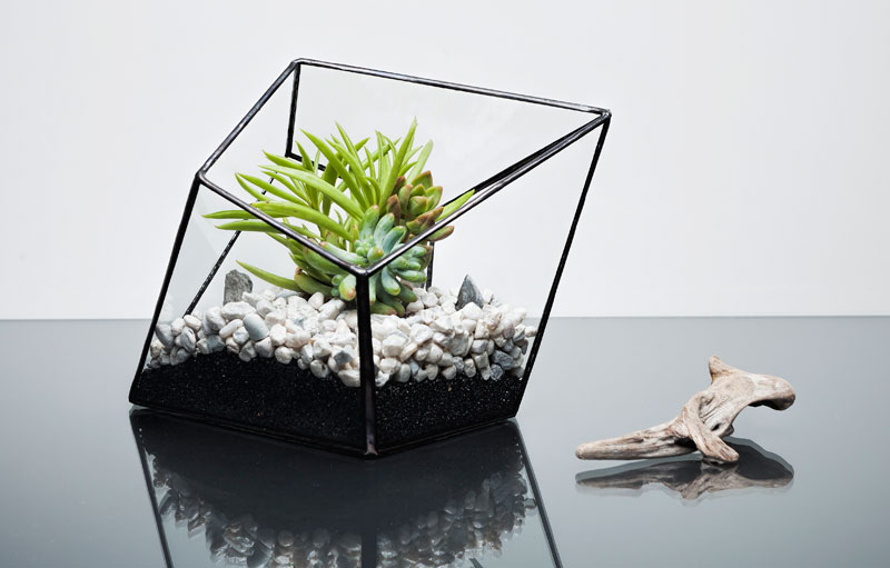 Urban Botanist ABC
