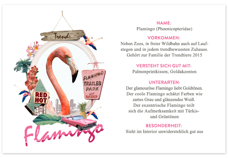 Trendtier Flamingo Interior Trend