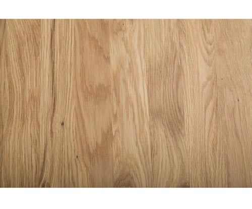Holz Eiche Querschnitt
