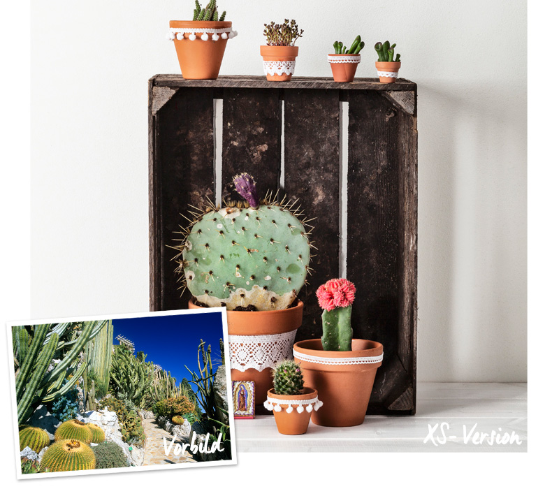 DIY Süsse XS-Gärten Westwing Magazin