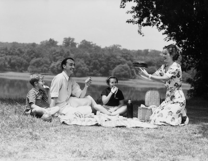 Picknick mit Westwing