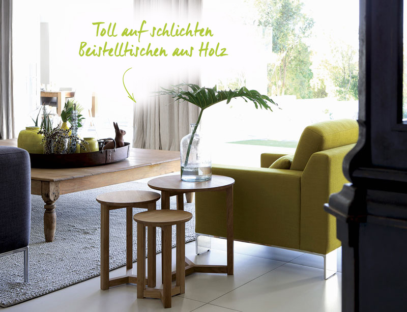 Pflanzentrend: Palmblätter und Farne