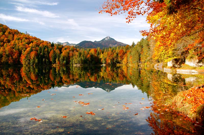 iStock_000049775796_Full-resize