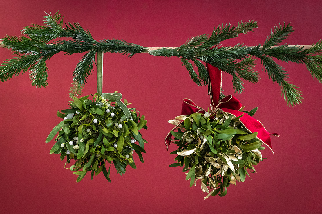 westwing-2-mistletoes