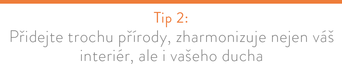 zuiver nizozemí