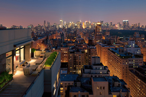New York Rooftop Gardens 6