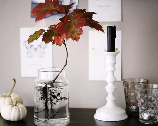 Hommage an den Herbst