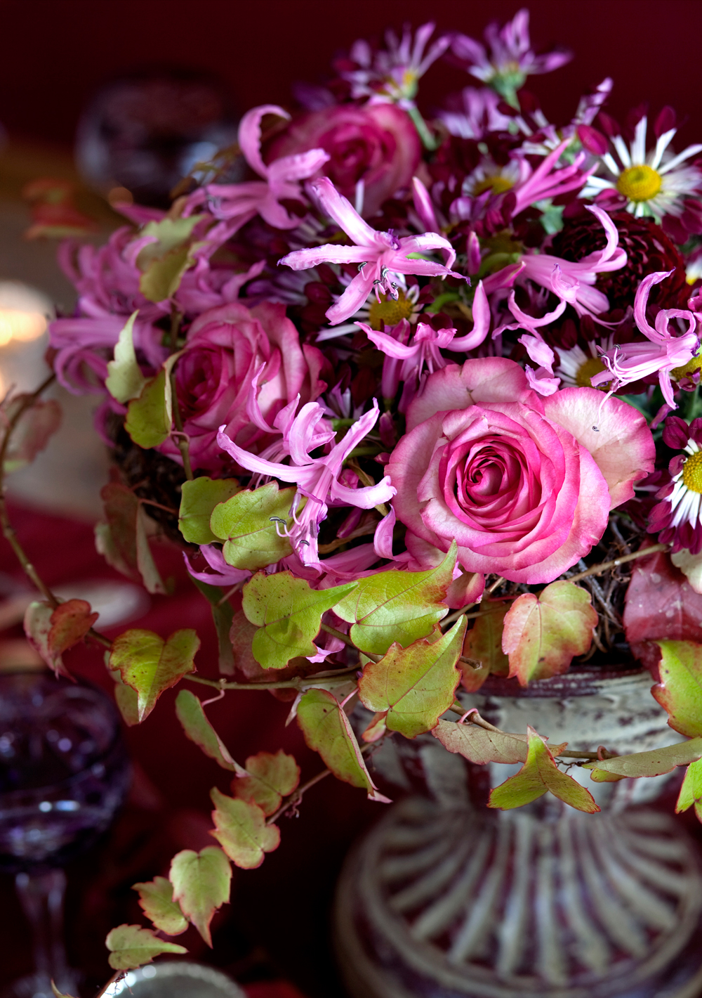 Rosa Rosen