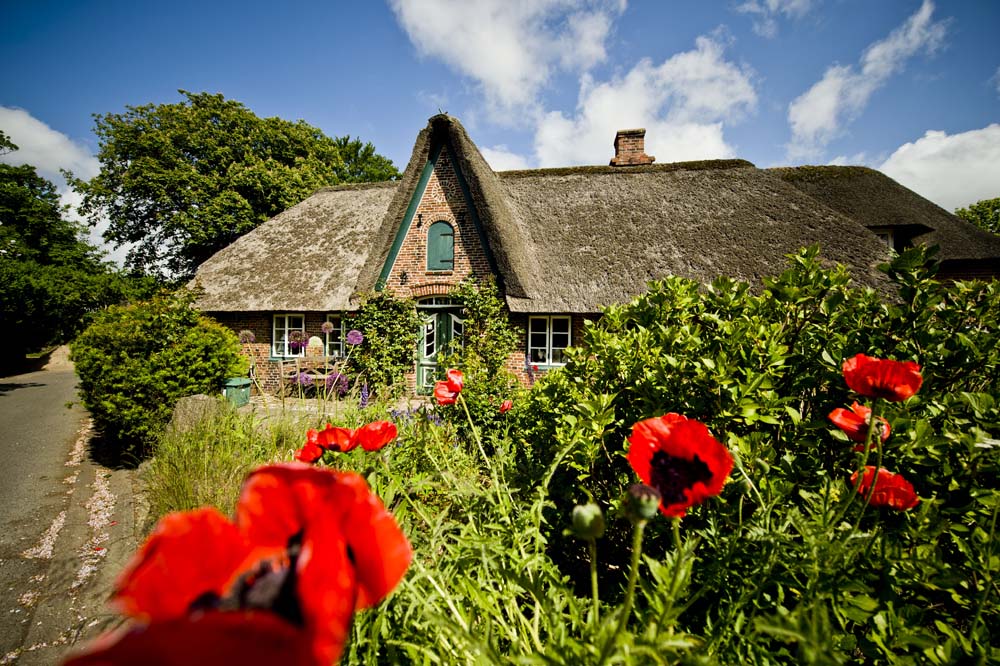 nordisch sylt