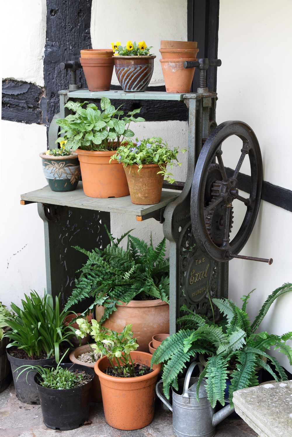 Pflanzen im Garten Cottage