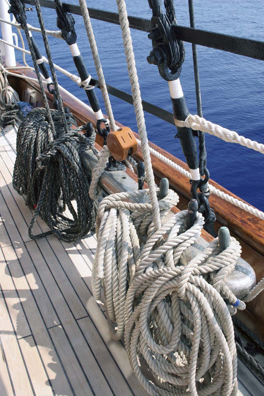 Sea Cloud