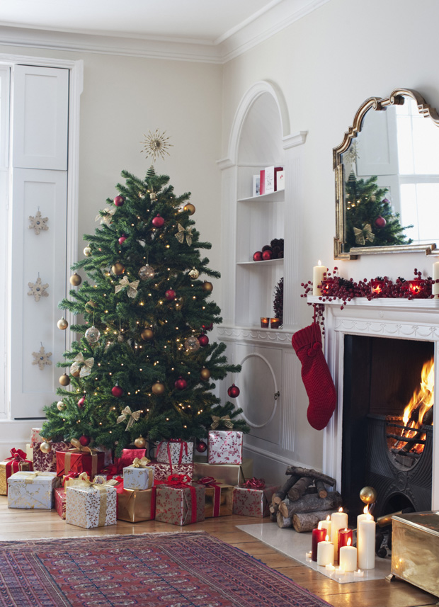 Der Weihnachtsbaum-Guide